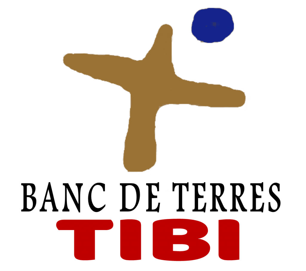 Logo Tibi